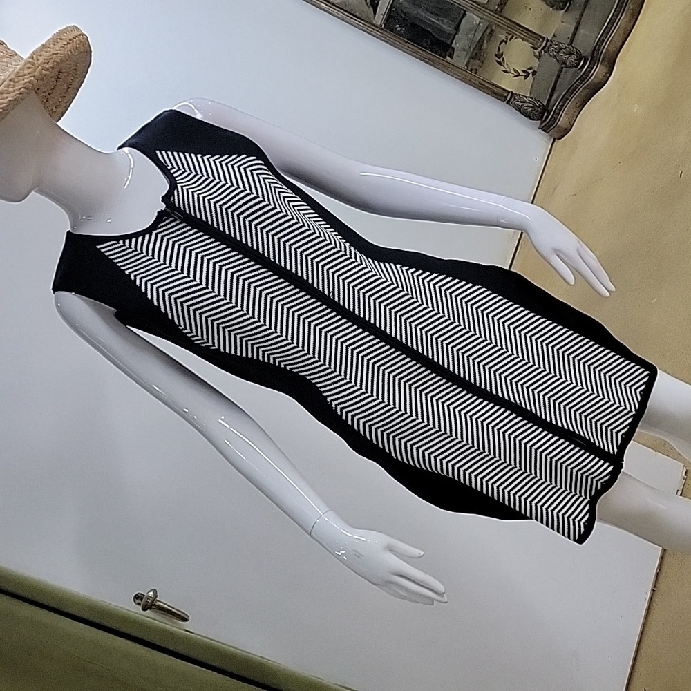 NWT Gracia Black & White Striped Illusion Bodycon Dress